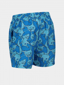 Шорты для плавания Regatta Skander II модель RKM012-HZN Синій Фото