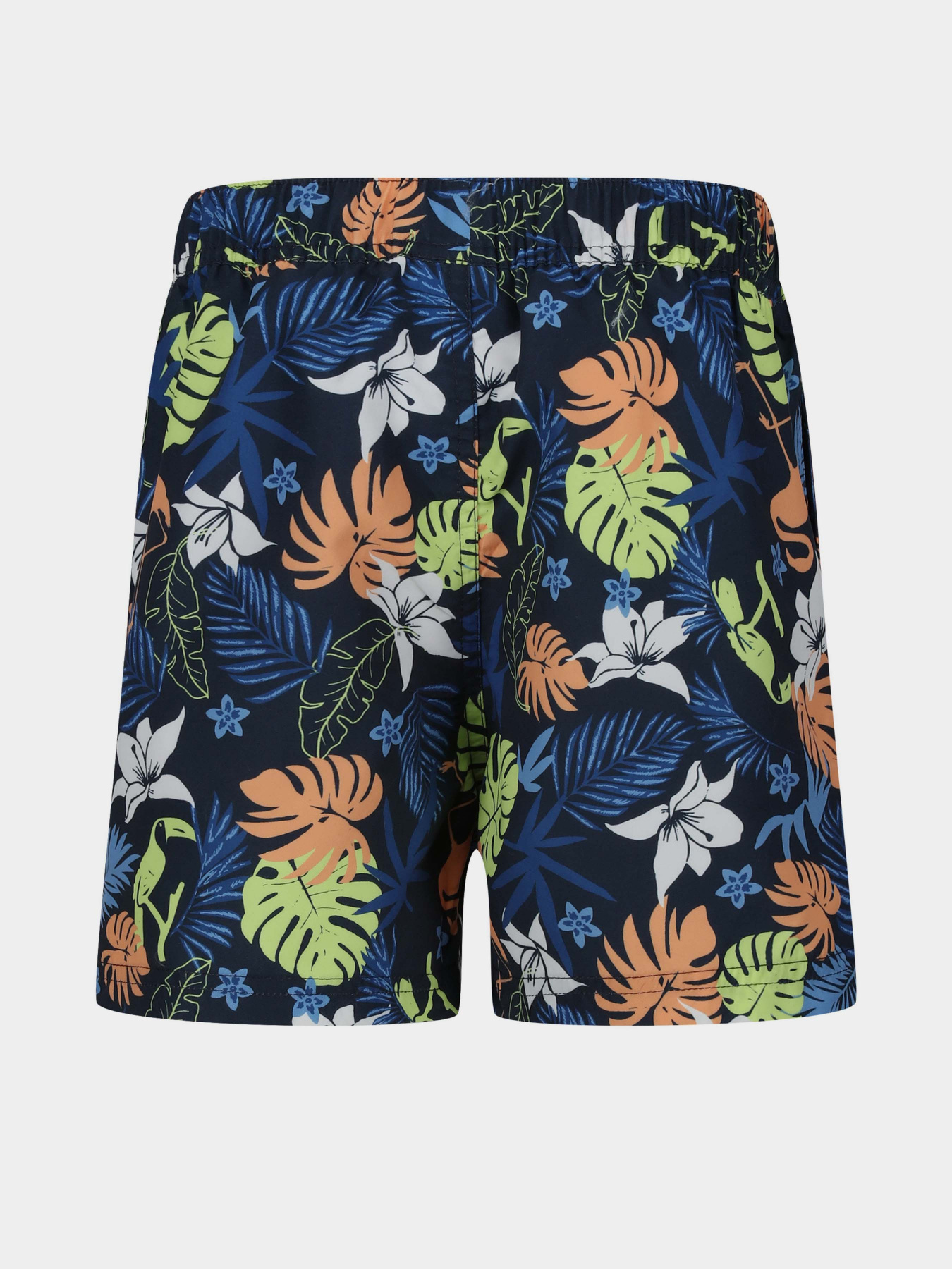 Шорты для плавания Regatta Skander II модель RKM012-VZR Синій Фото