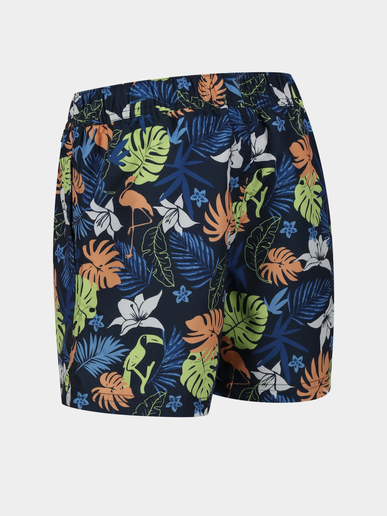 Шорты для плавания Regatta Skander II модель RKM012-VZR Синій Фото