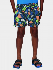 Шорты для плавания Regatta Skander II модель RKM012-VZR Синій Фото