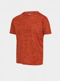 Футболка Regatta модель RKT134-LPF Помаранчевий Фото