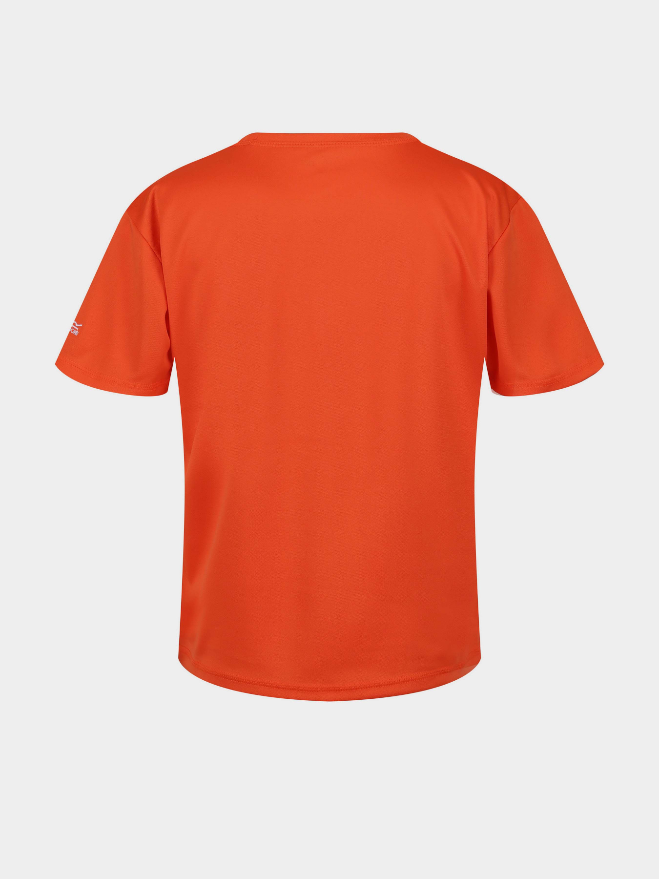 Футболка Regatta Модель RKT143-4JC Помаранчевий Фото