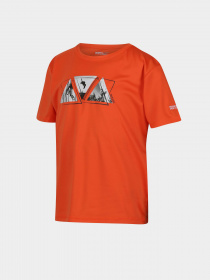 Футболка Regatta Модель RKT143-4JC Помаранчевий Фото