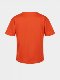 Футболка Regatta модель RKT143-4JC Помаранчевий Фото