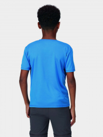Футболка Regatta Alvarado VII модель RKT143-I45 Синій Фото