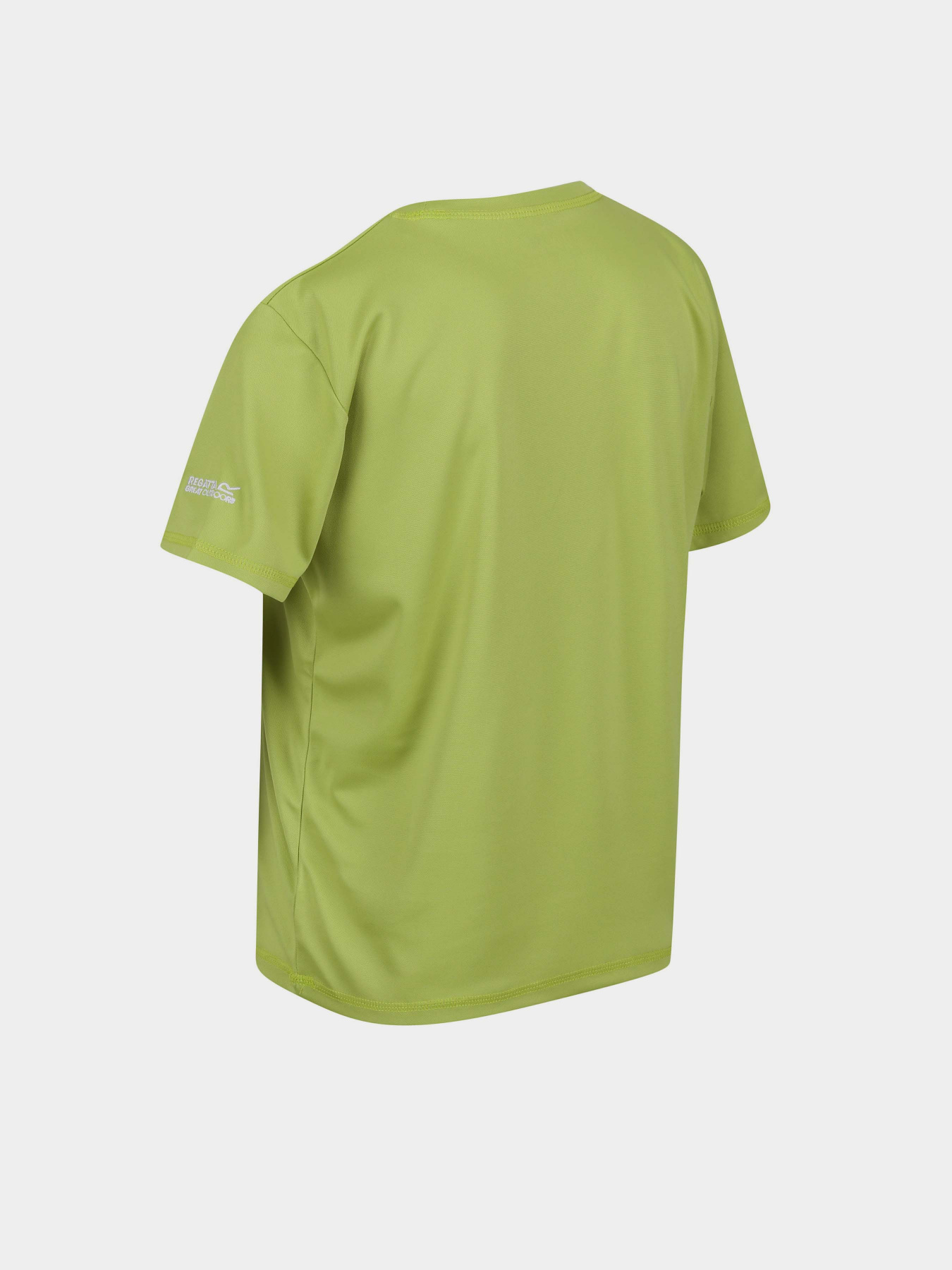 Футболка Regatta Alvarado VII Модель RKT143-N5H Зелений Фото