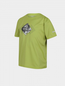 Футболка Regatta Alvarado VII Модель RKT143-N5H Зелений Фото