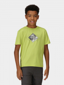 Футболка Regatta Alvarado VII Модель RKT143-N5H Зелений Фото