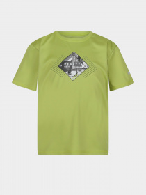 Футболка Regatta Alvarado VII модель RKT143-N5H Зелений Фото