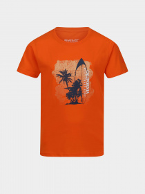 Футболка Regatta Bosley VI Модель RKT149-4JC Помаранчевий Фото