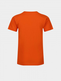 Футболка Regatta Bosley VI Модель RKT149-4JC Помаранчевий Фото