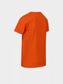 Футболка Regatta Bosley VI Модель RKT149-4JC Помаранчевий Фото