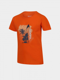 Футболка Regatta Bosley VI Модель RKT149-4JC Помаранчевий Фото