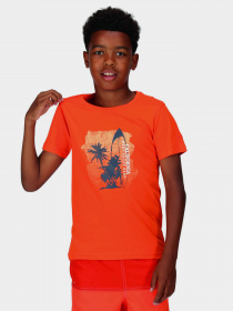 Футболка Regatta Bosley VI Модель RKT149-4JC Помаранчевий Фото