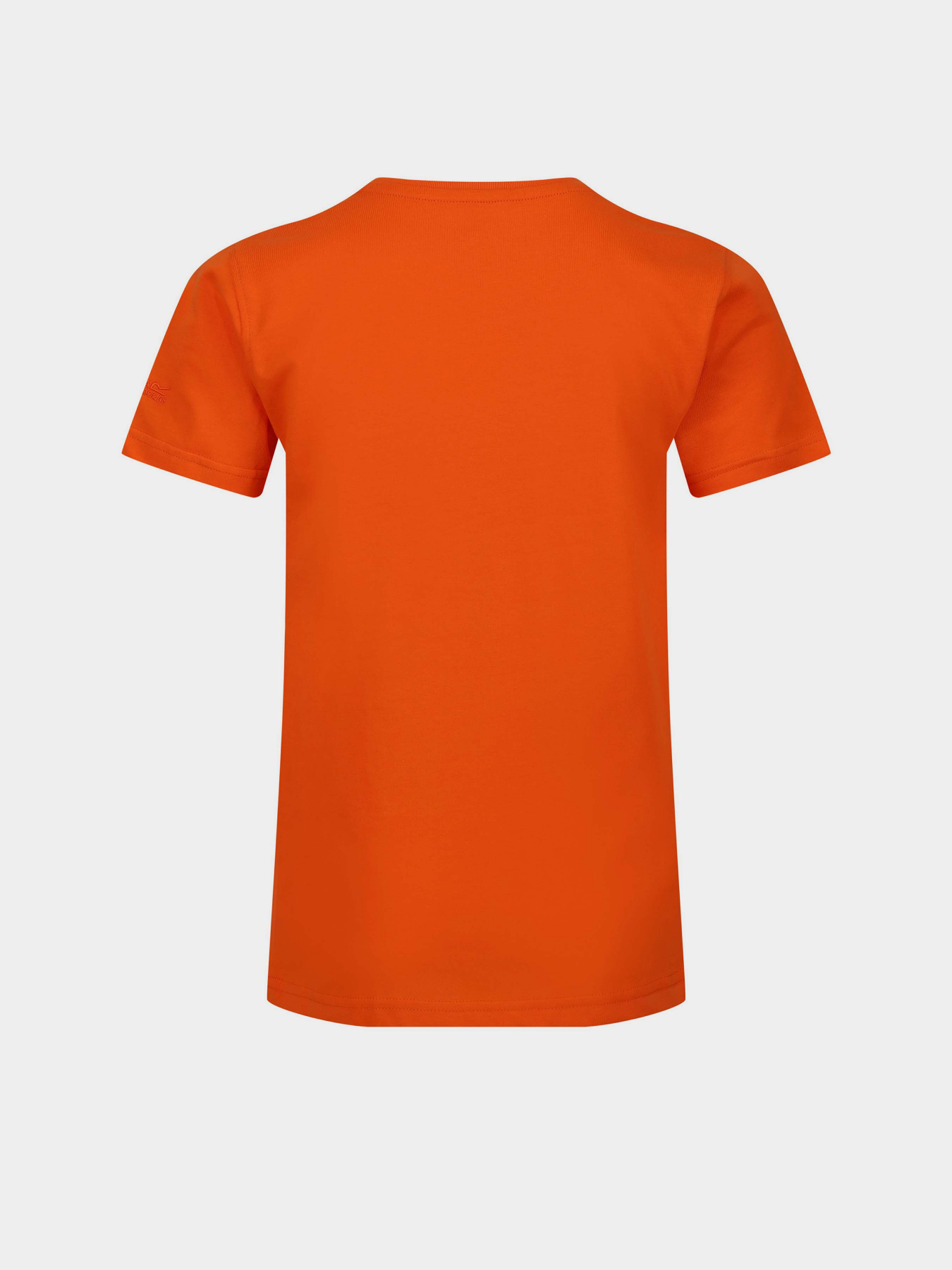 Футболка Regatta Bosley VI модель RKT149-4JC Помаранчевий Фото