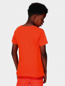 Футболка Regatta Bosley VI модель RKT149-4JC Помаранчевий Фото