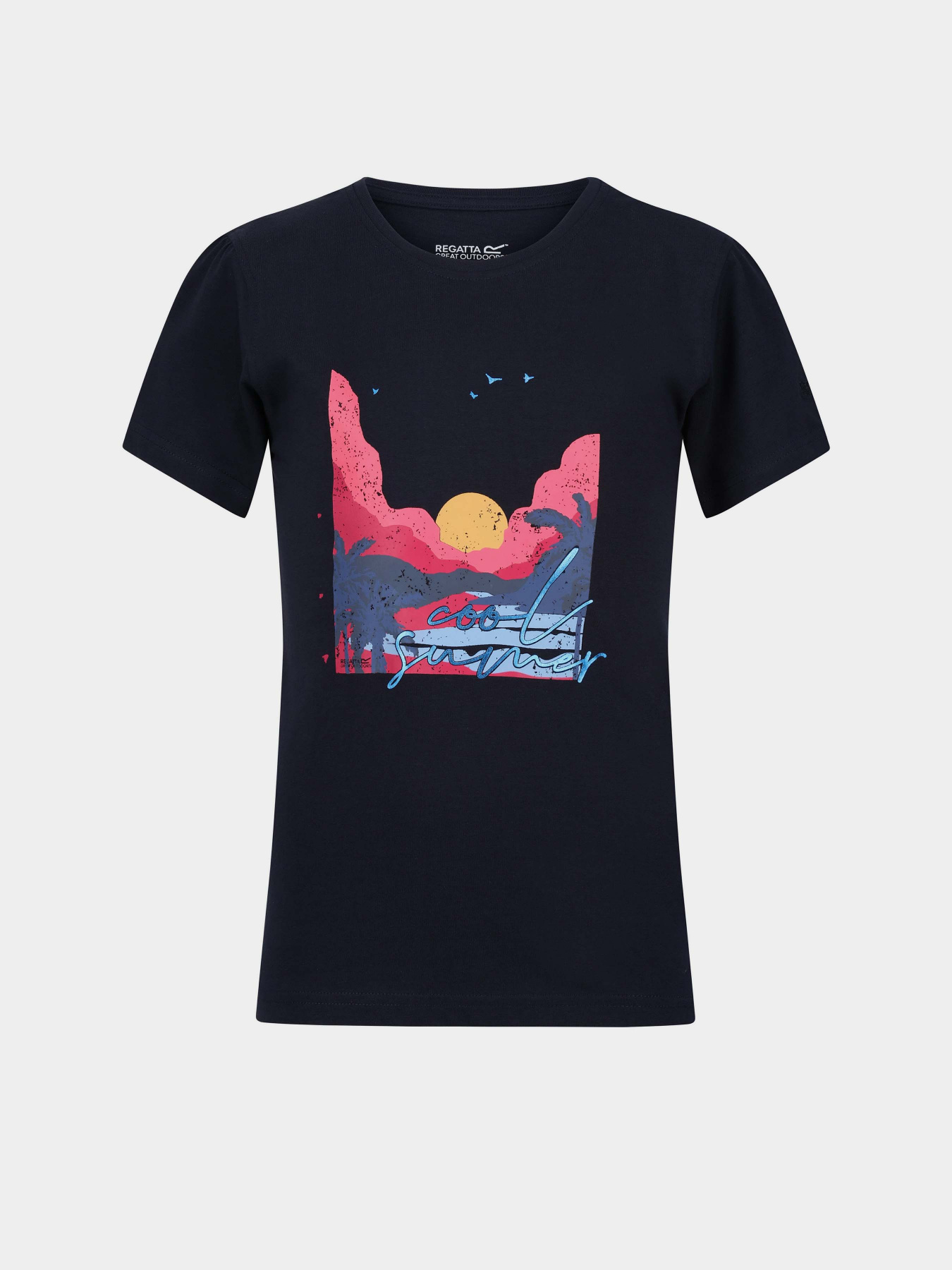 Футболка Regatta Bosley VI Модель RKT149-CY3 Синій Фото