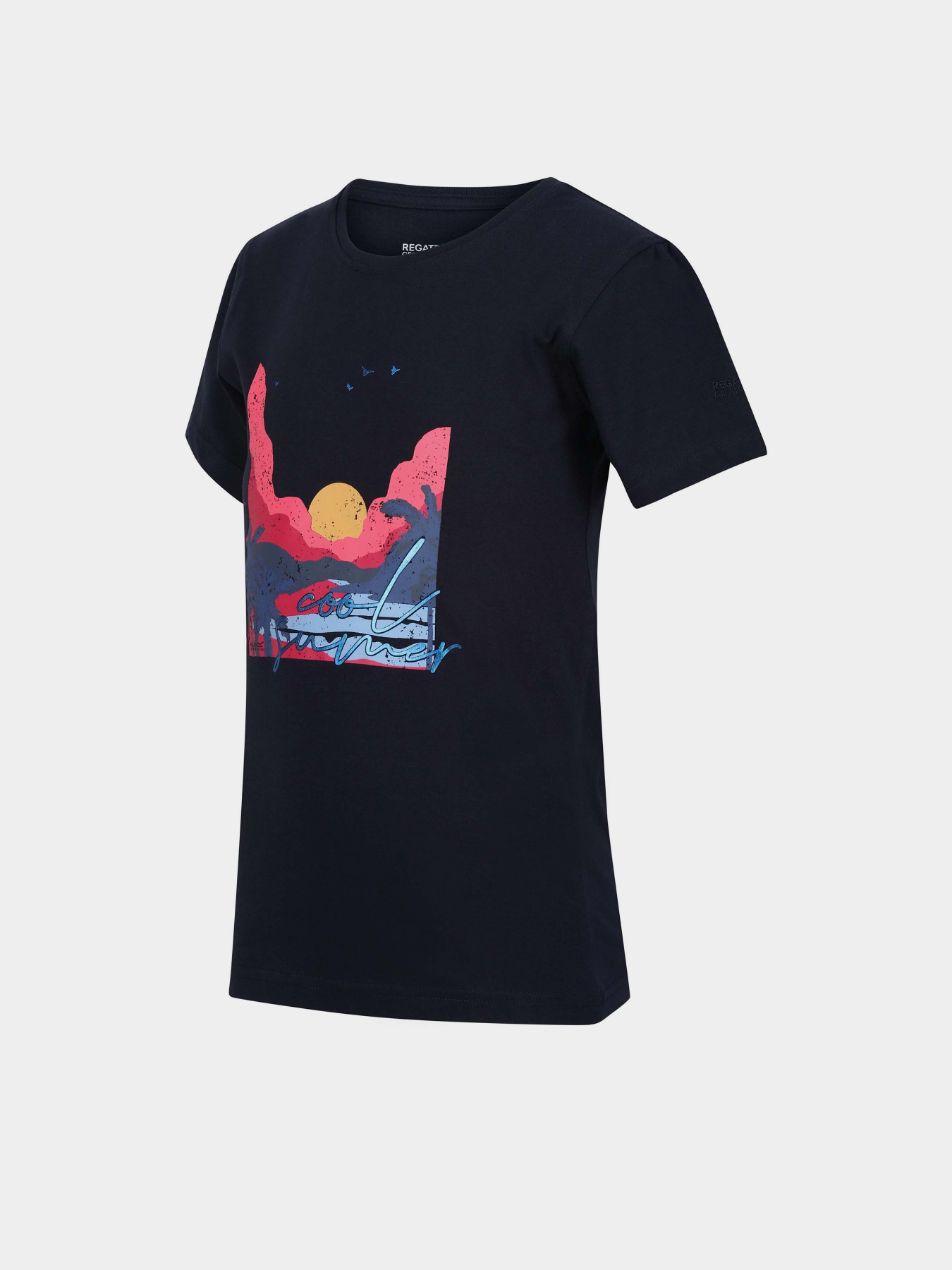 Футболка Regatta Bosley VI модель RKT149-CY3 Синій Фото