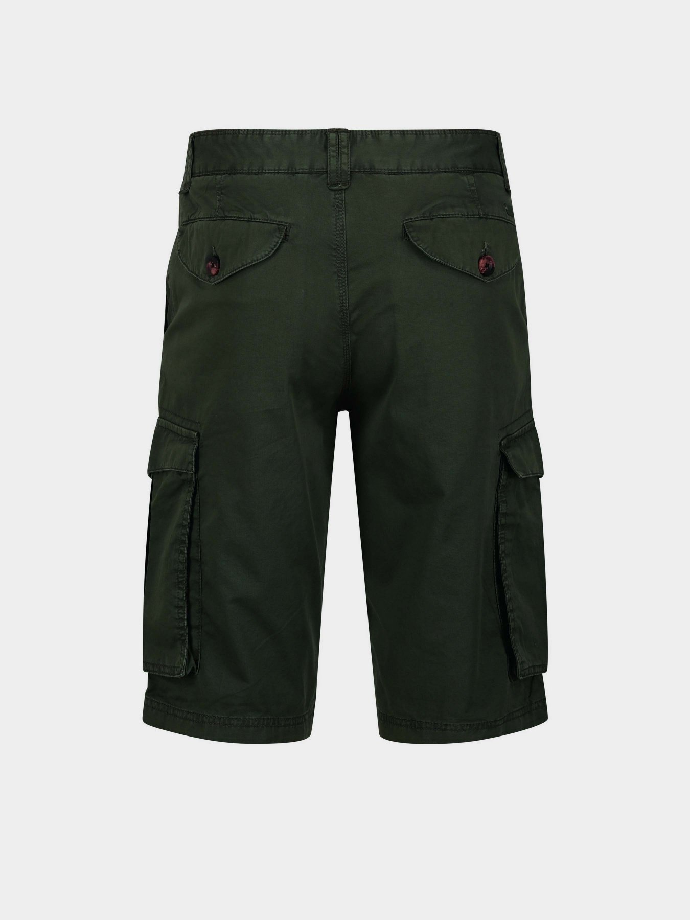 Повсякденні шорти Regatta Shorebay Short модель RMJ221-41C Хакі Повсякденні шорти Regatta Shorebay Short модель RMJ221-41C Хакі Фото