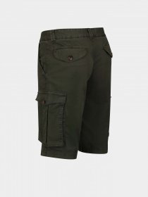 Повсякденні шорти Regatta Shorebay Short модель RMJ221-41C Хакі Повсякденні шорти Regatta Shorebay Short модель RMJ221-41C Хакі Фото