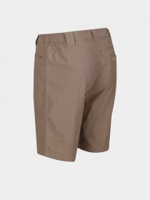 Шорти Regatta Delgado Модель RMJ228-3HE Бежевий Фото