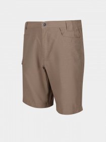 Шорти Regatta Delgado Модель RMJ228-3HE Бежевий Фото
