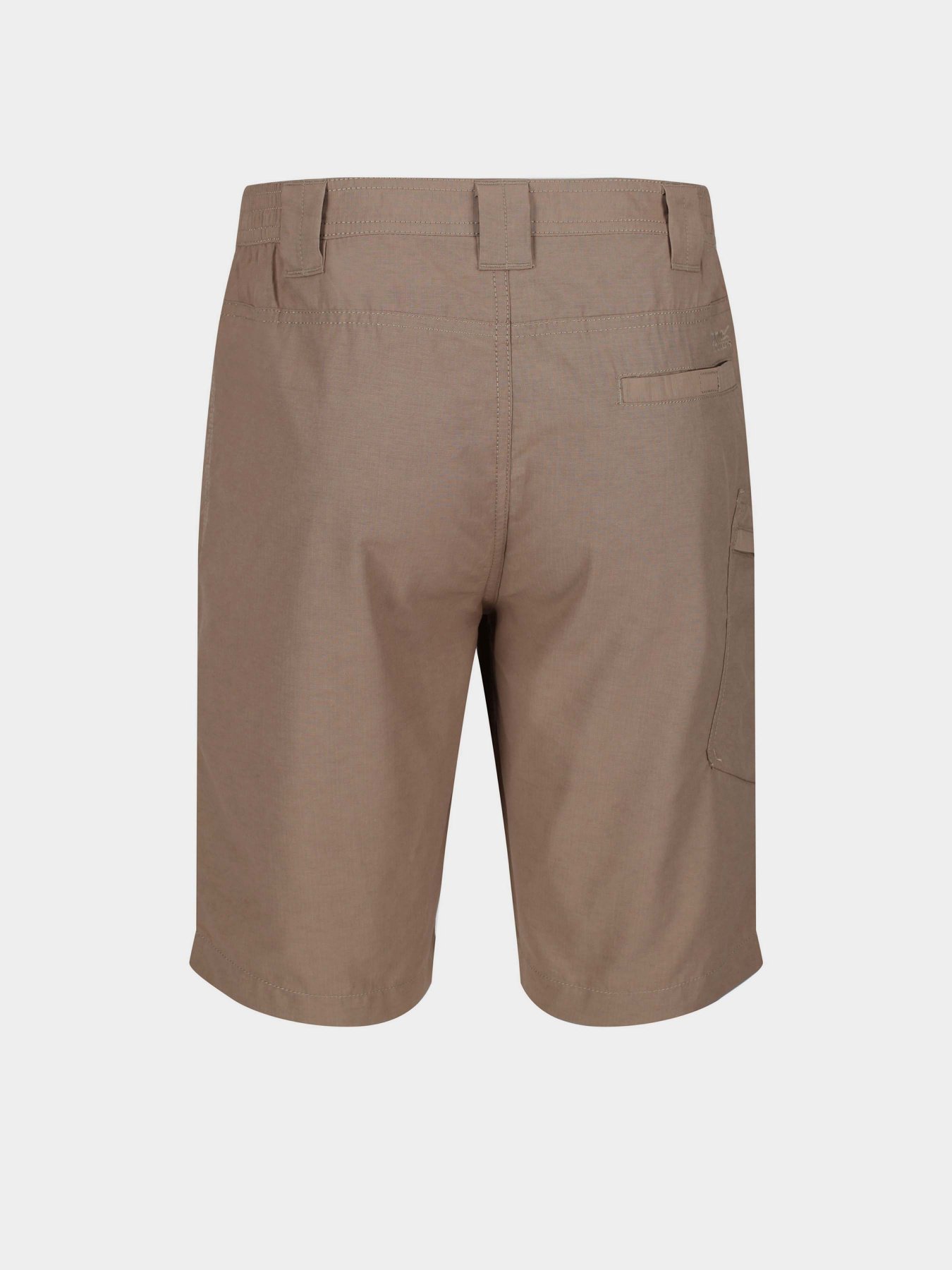 Повсякденні шорти Regatta Delgado модель RMJ228-3HE Бежевий Фото