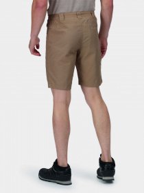 Повсякденні шорти Regatta Delgado модель RMJ228-3HE Бежевий Фото