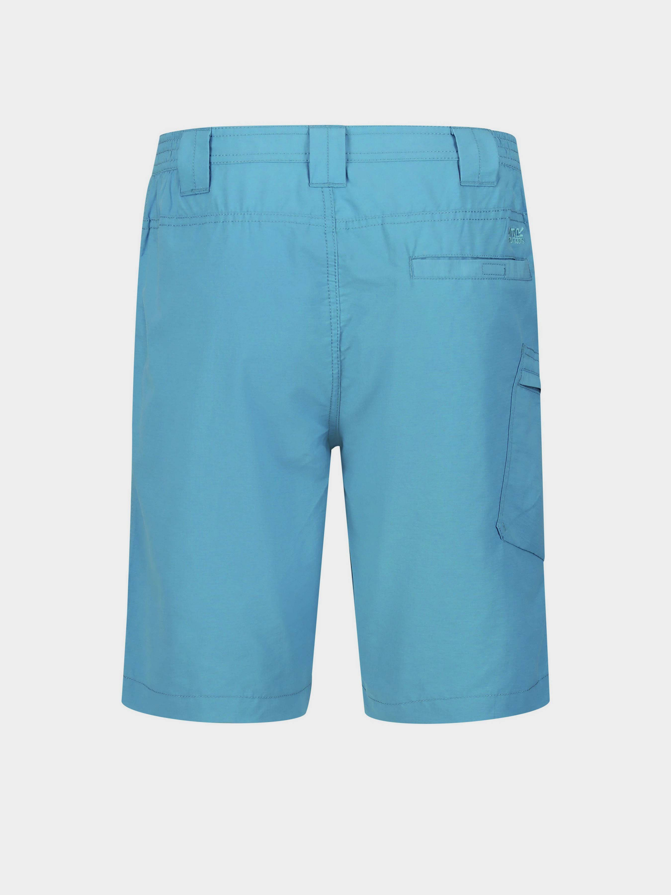 Шорти Regatta Delgado Модель RMJ228-T2Z Синій Фото