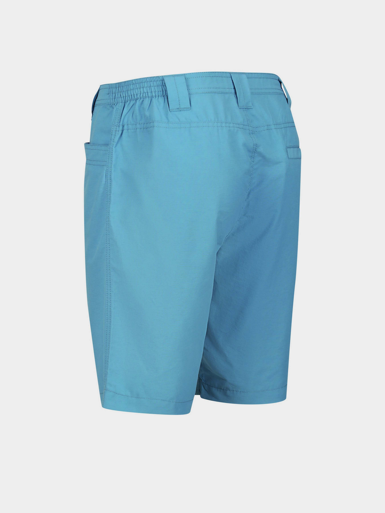 Повсякденні шорти Regatta Delgado модель RMJ228-T2Z Синій Фото