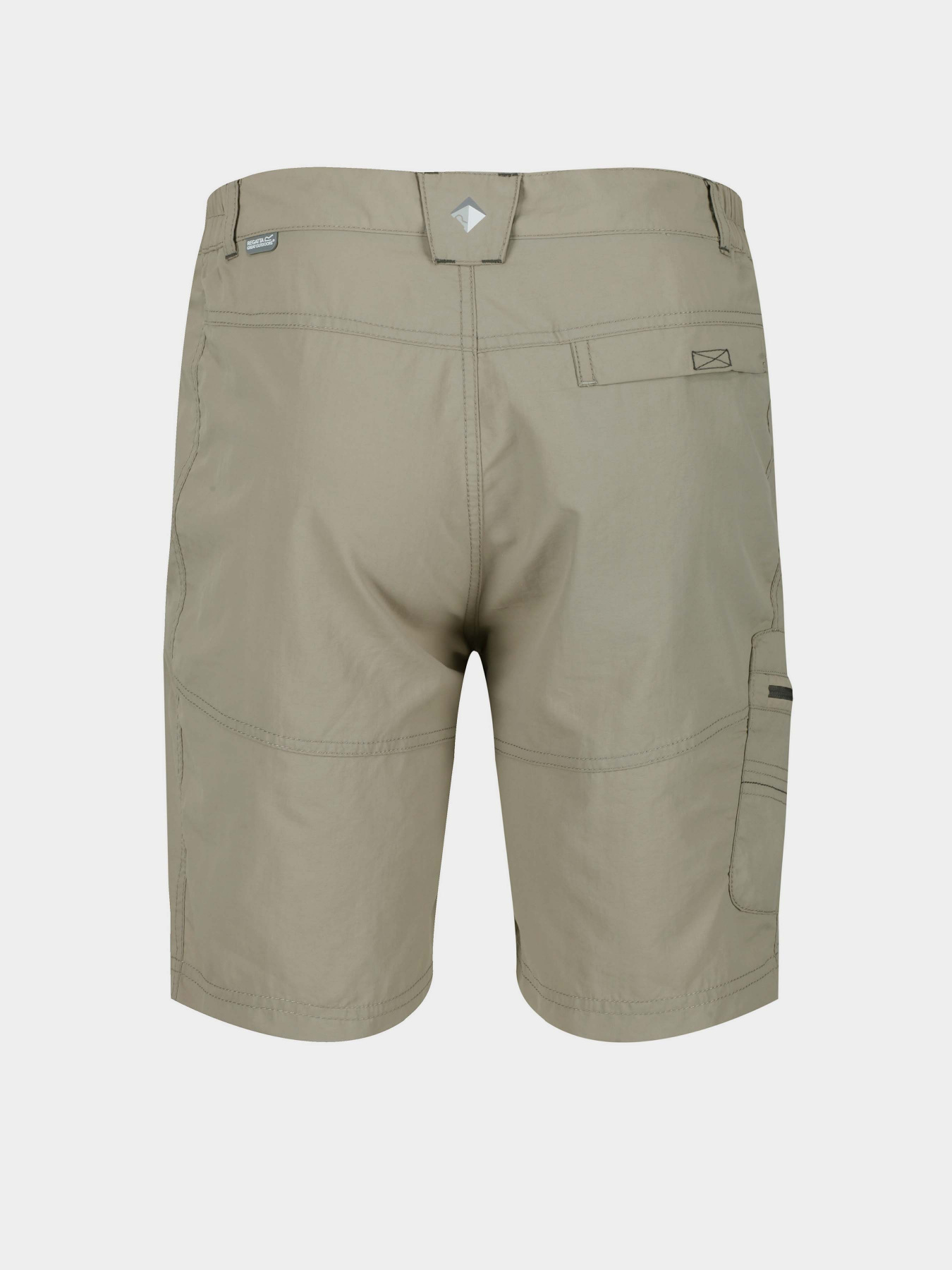 Шорти Regatta Leesville II Модель RMJ235-5BD Бежевий Фото