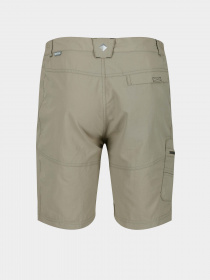 Шорти Regatta Leesville II Модель RMJ235-5BD Бежевий Фото