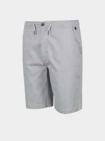 Шорти Regatta Albie Модель RMJ251-033 Сірий Фото