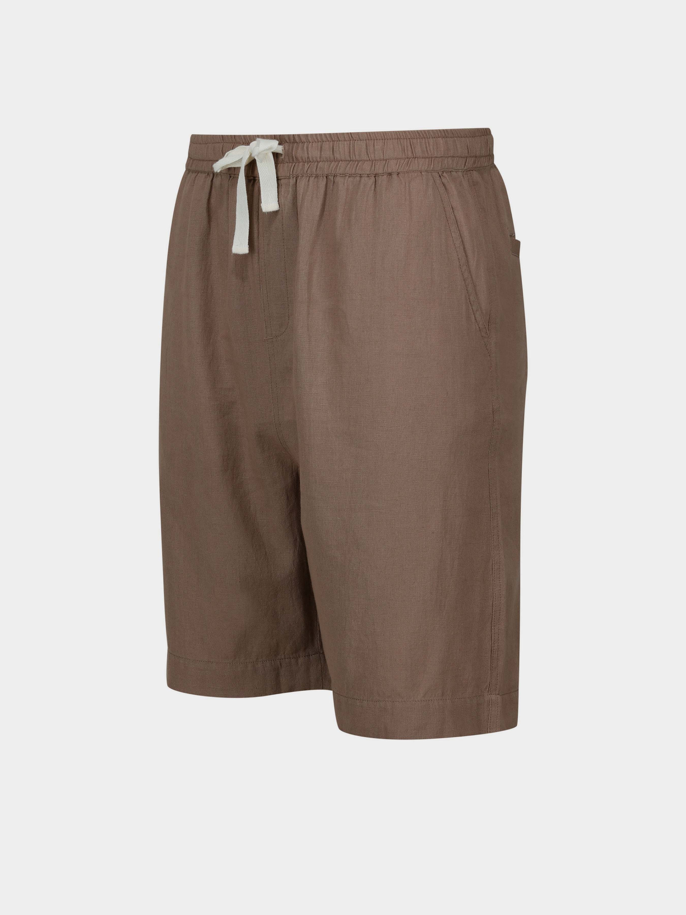 Повсякденні шорти Regatta Etonbury модель RMJ284-1VM Коричневий Повсякденні шорти Regatta Etonbury модель RMJ284-1VM Коричневий Фото