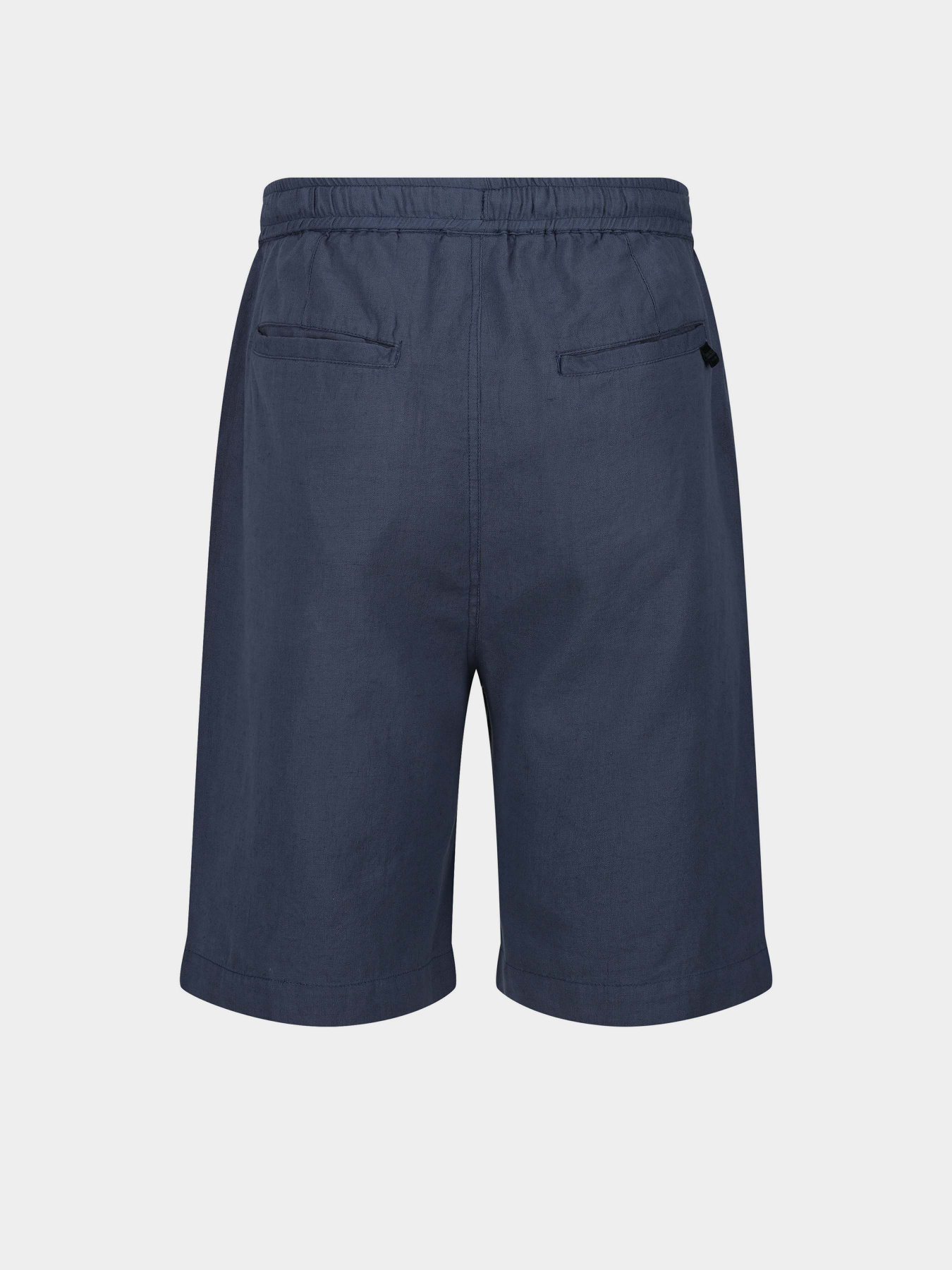 Шорти Regatta Etonbury Модель RMJ284-8PQ Синій Фото