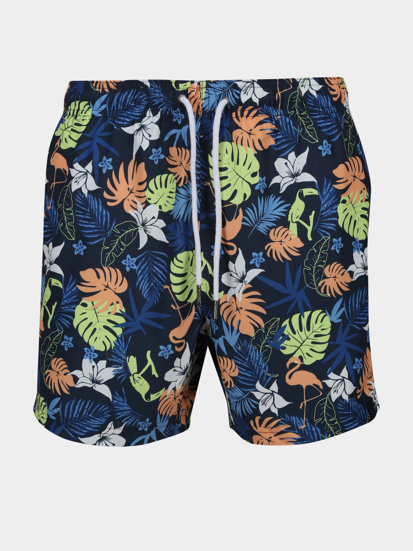 Одежда для пляжа Regatta Loras Swim Short модель RMM014-JM4 Синій Фото