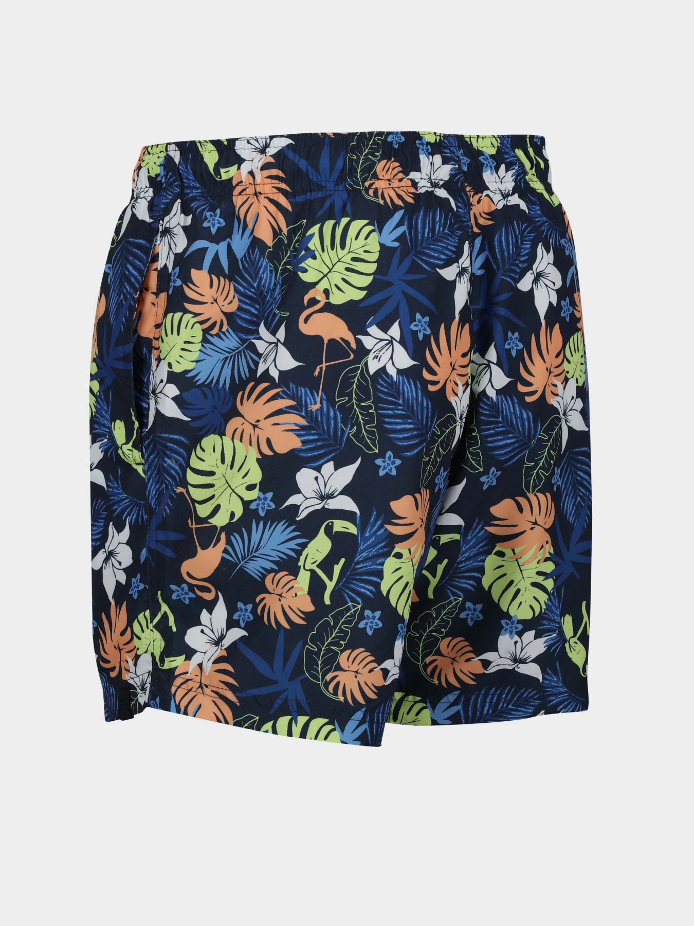 Шорти для плавання Regatta Loras Swim Short модель RMM014-JM4 Синій Фото