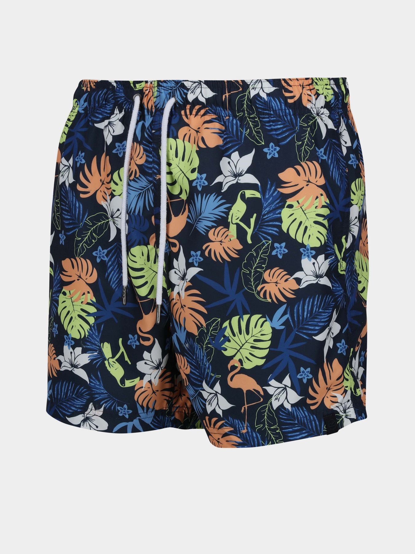 Одежда для пляжа Regatta Loras Swim Short модель RMM014-JM4 Синій Фото