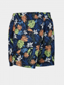 Шорти для плавання Regatta Loras Swim Short модель RMM014-JM4 Синій Фото