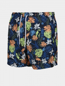 Одежда для пляжа Regatta Loras Swim Short модель RMM014-JM4 Синій Фото