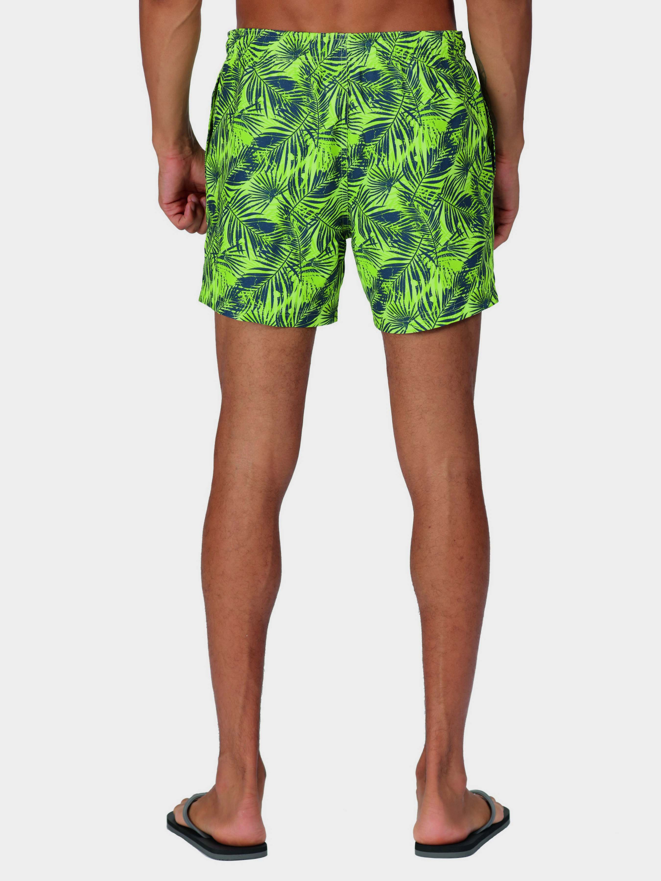 Шорты для плавания Regatta Loras модель RMM014-R6Y Синій, зелений Фото