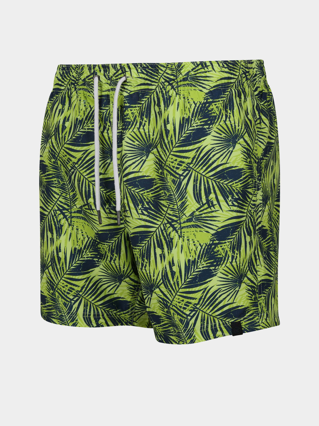 Шорты для плавания Regatta Loras модель RMM014-R6Y Синій, зелений Фото