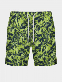 Шорты для плавания Regatta Loras модель RMM014-R6Y Синій, зелений Фото