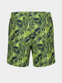 Шорты для плавания Regatta Loras модель RMM014-R6Y Синій, зелений Фото