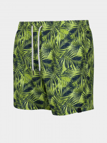 Шорты для плавания Regatta Loras модель RMM014-R6Y Синій, зелений Фото