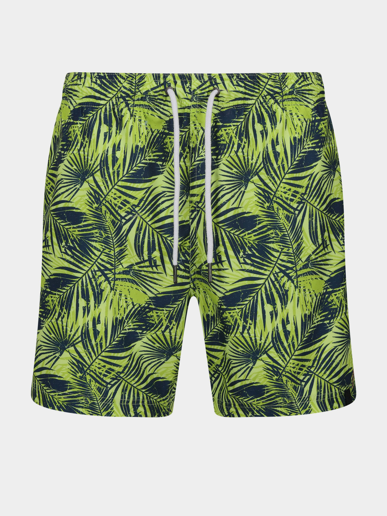 Шорти для плавання Regatta Loras модель RMM014-R6Y Синій, зелений Фото