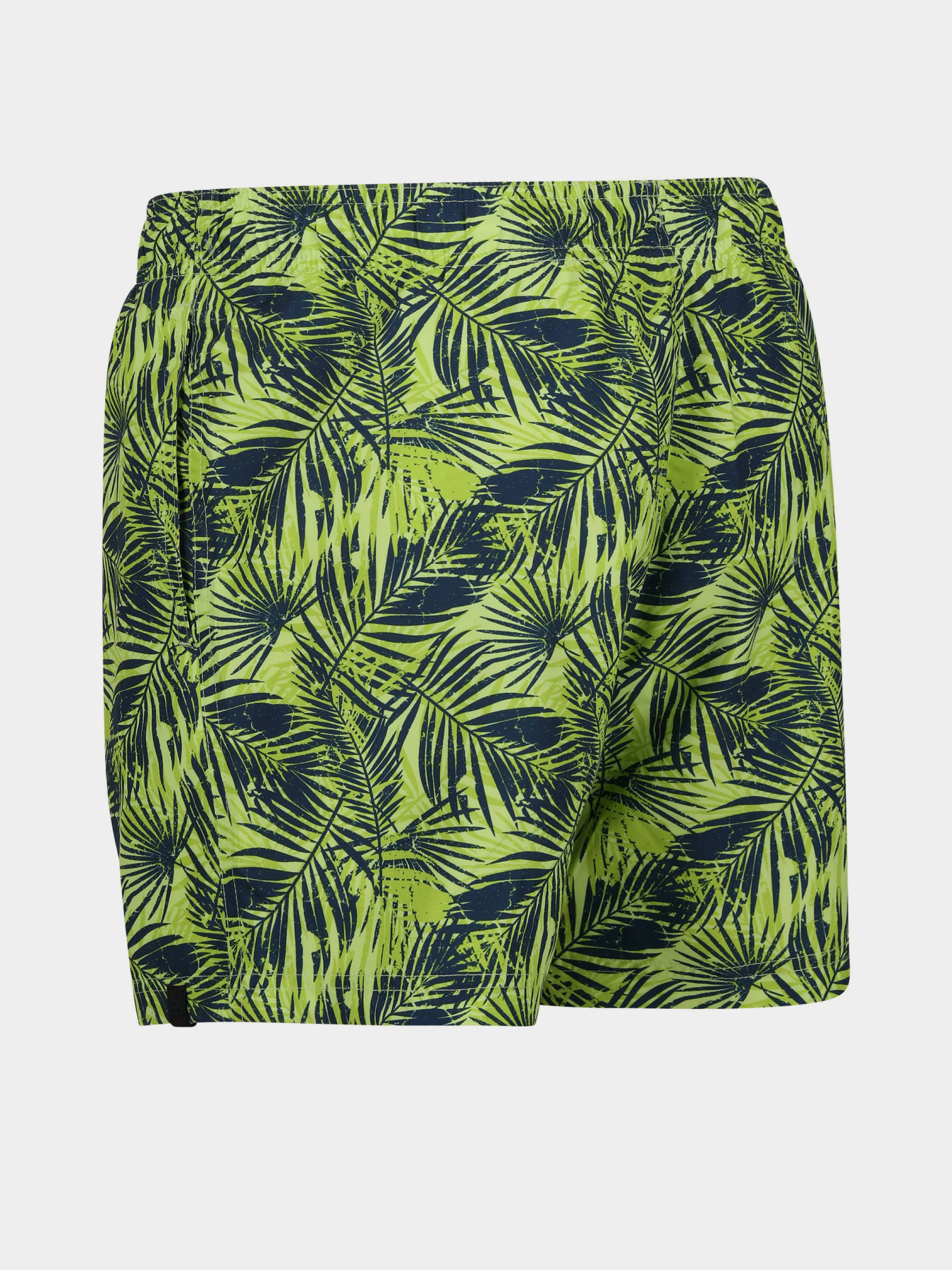 Шорти для плавання Regatta Loras модель RMM014-R6Y Синій, зелений Фото