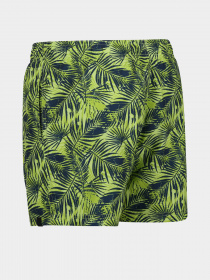 Шорти для плавання Regatta Loras модель RMM014-R6Y Синій, зелений Фото