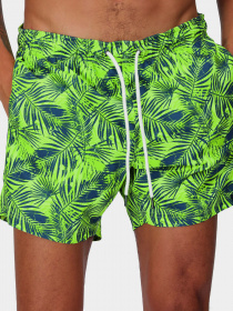 Шорти для плавання Regatta Loras модель RMM014-R6Y Синій, зелений Фото