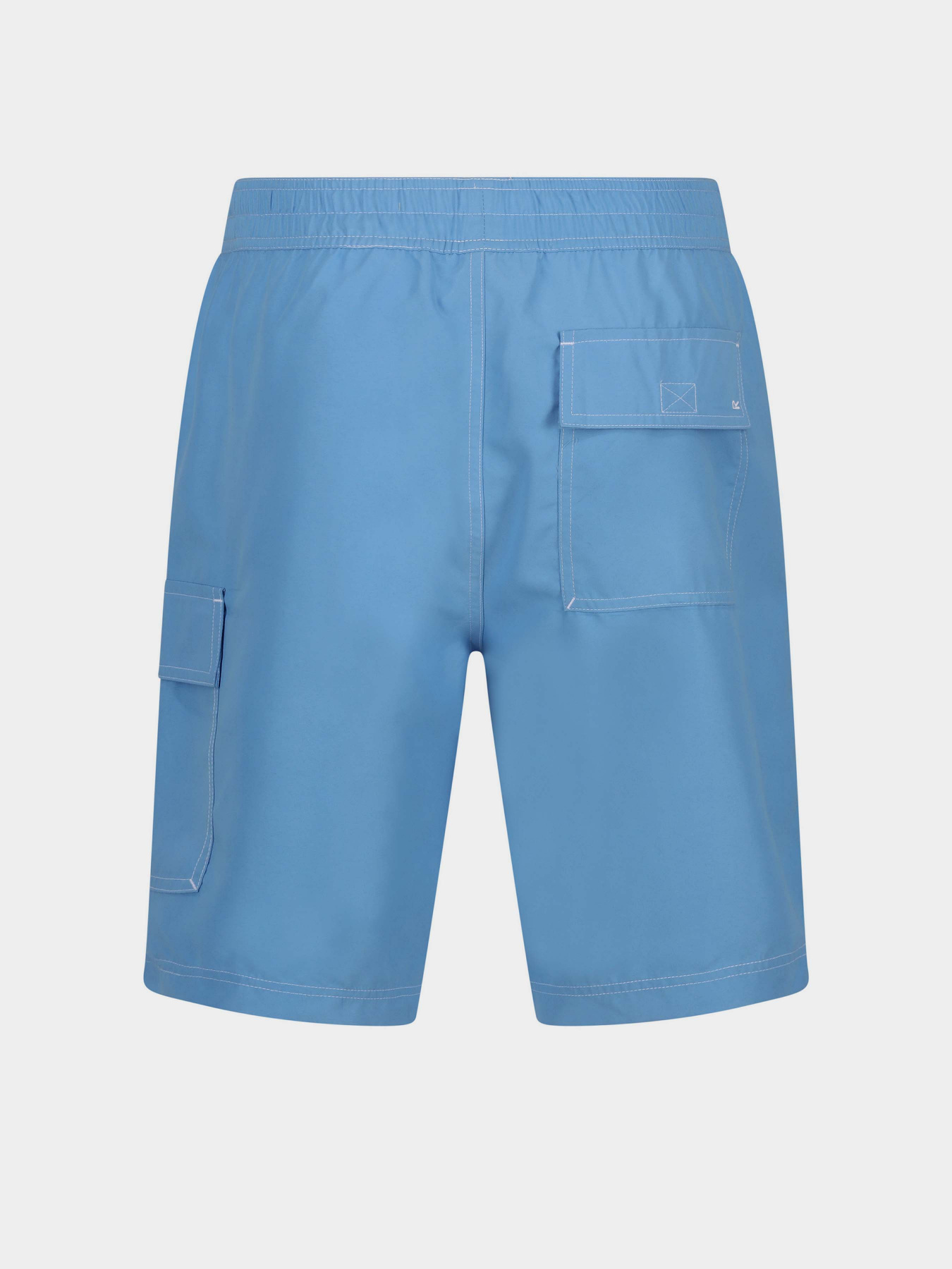 Шорты для плавания Regatta Hotham BdShort IV модель RMM015-3TE Блакитний Фото